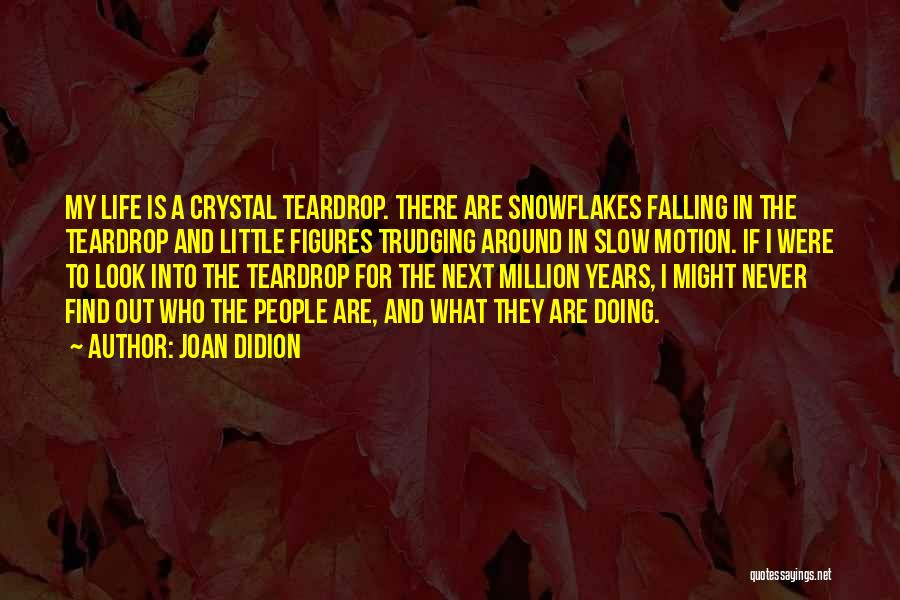 Snowflakes And Life Quotes By Joan Didion