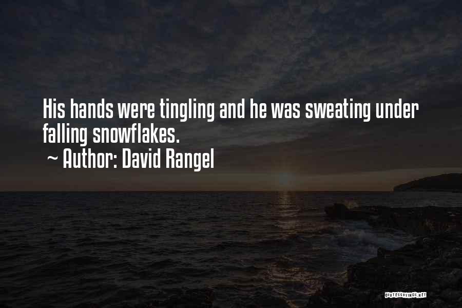 Snowflakes Falling Quotes By David Rangel