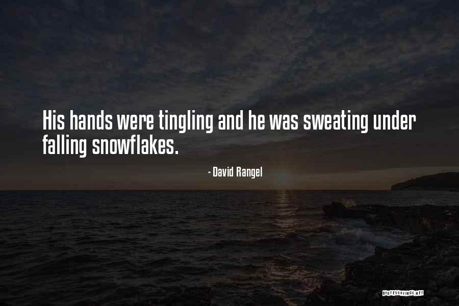 Snowflakes Falling Quotes By David Rangel