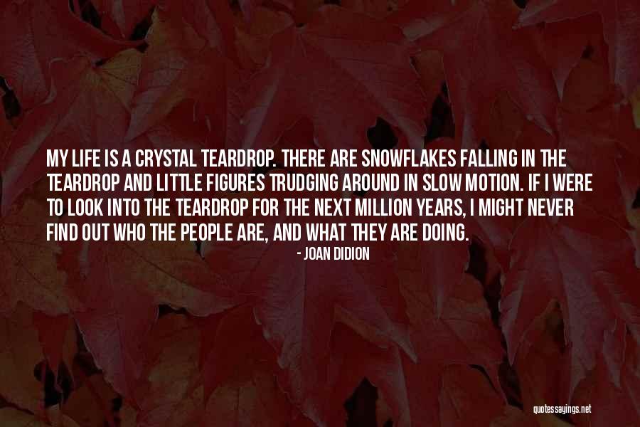 Snowflakes Falling Quotes By Joan Didion