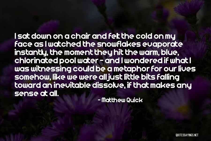 Snowflakes Falling Quotes By Matthew Quick