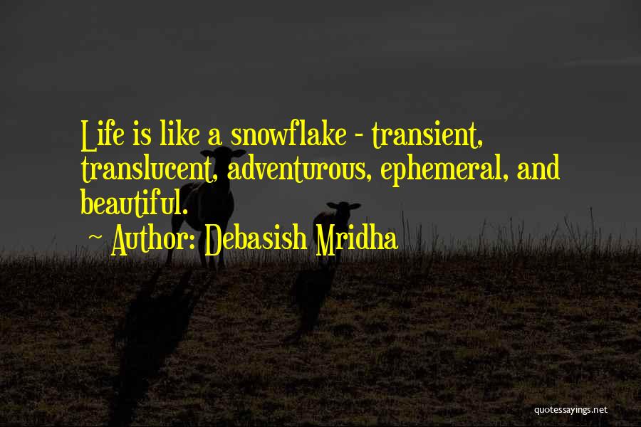 Snowflakes Inspirational Quotes By Debasish Mridha
