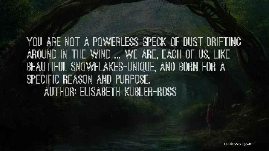 Snowflakes Inspirational Quotes By Elisabeth Kubler-Ross