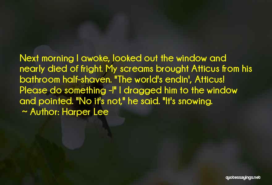 Snowing Morning Quotes By Harper Lee