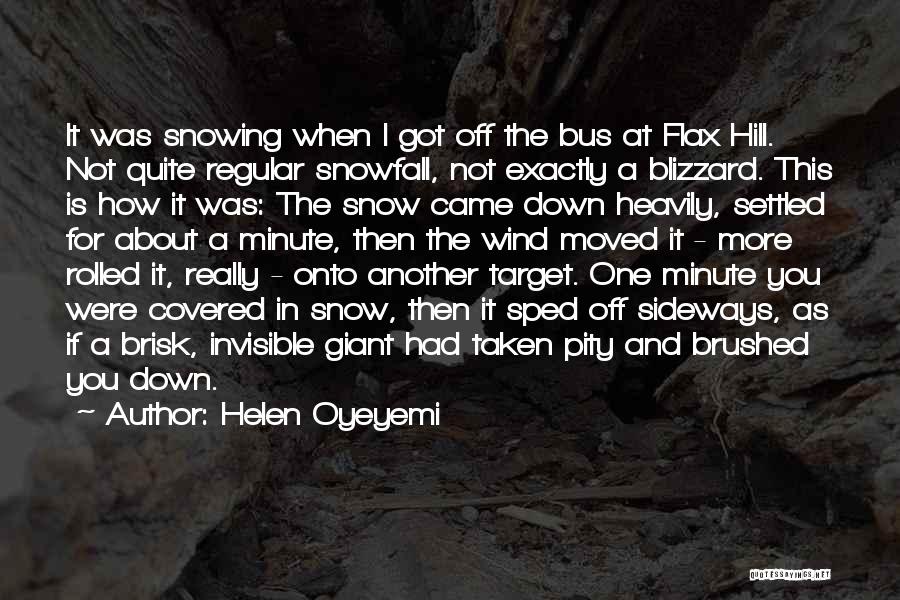 Snowing Weather Quotes By Helen Oyeyemi