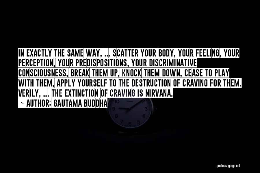 Snowkiting Quotes By Gautama Buddha