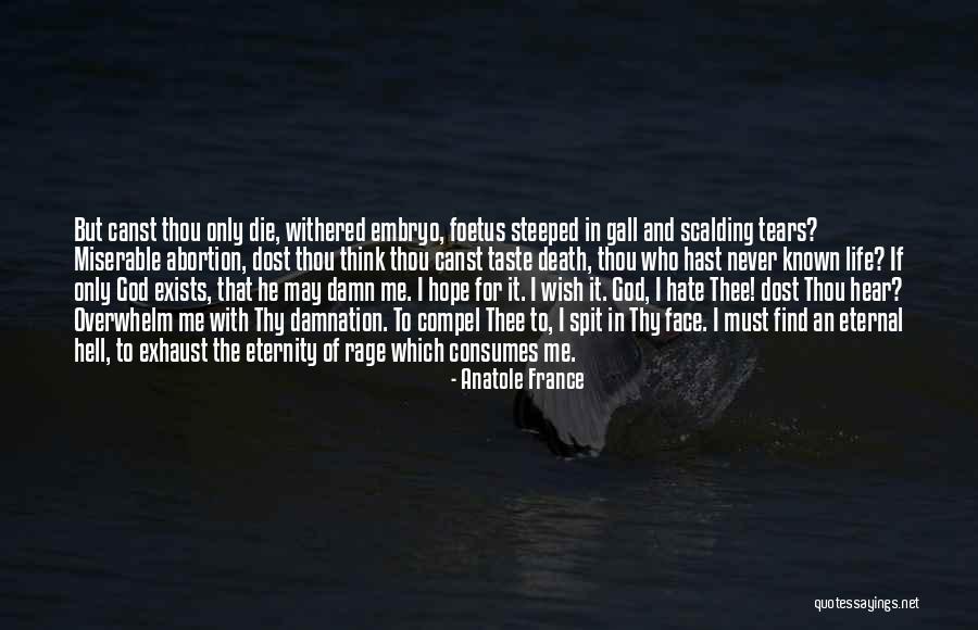 Snowline Aeries Quotes By Anatole France Snowline Aeries Quotes By Anatole France