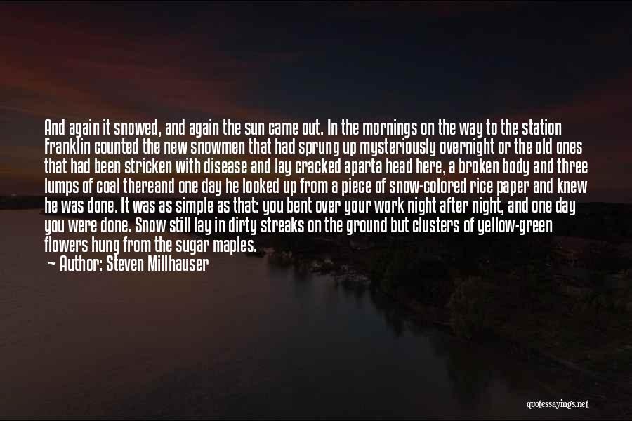 Snowmen At Night Quotes By Steven Millhauser