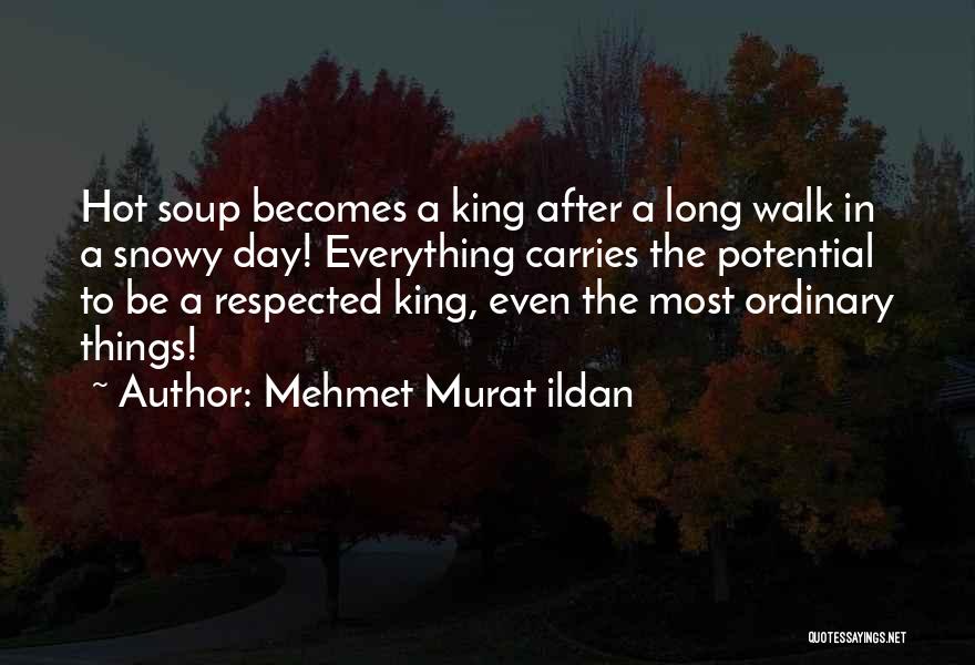 Snowy Day Quotes By Mehmet Murat Ildan