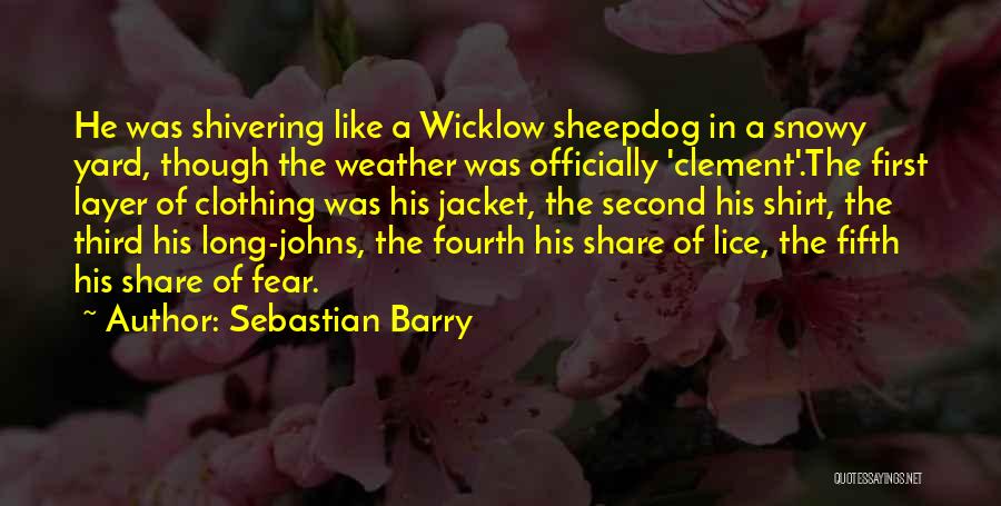 Snowy Quotes By Sebastian Barry