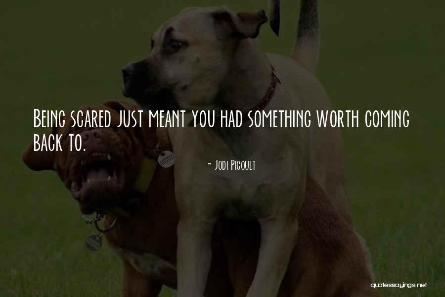 Snrl Jobs Quotes By Jodi Picoult Snrl Jobs Quotes By Jodi Picoult