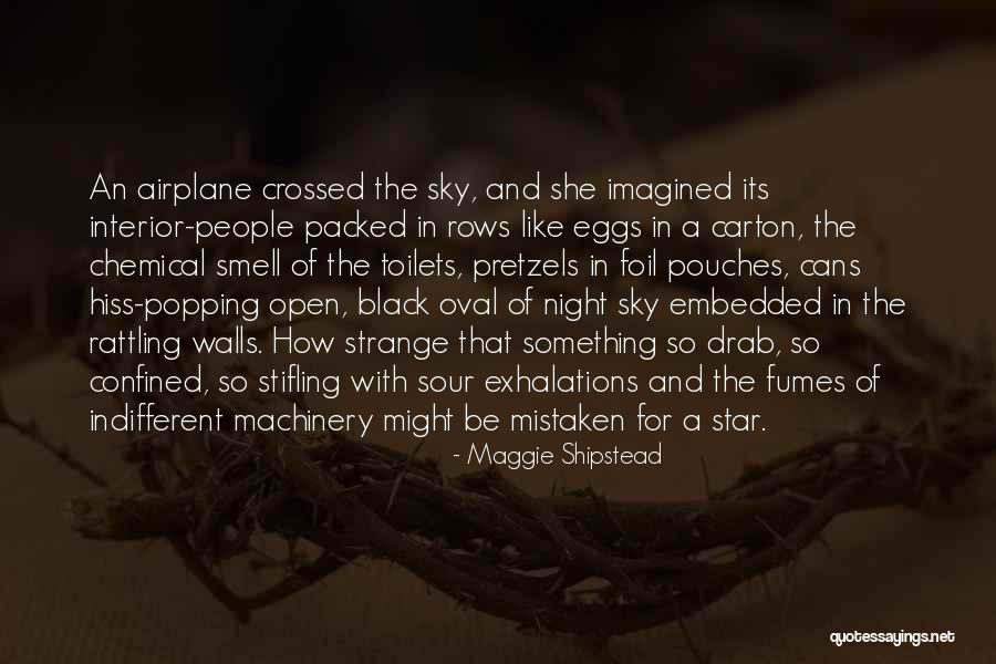 Snti Quotes By Maggie Shipstead Snti Quotes By Maggie Shipstead