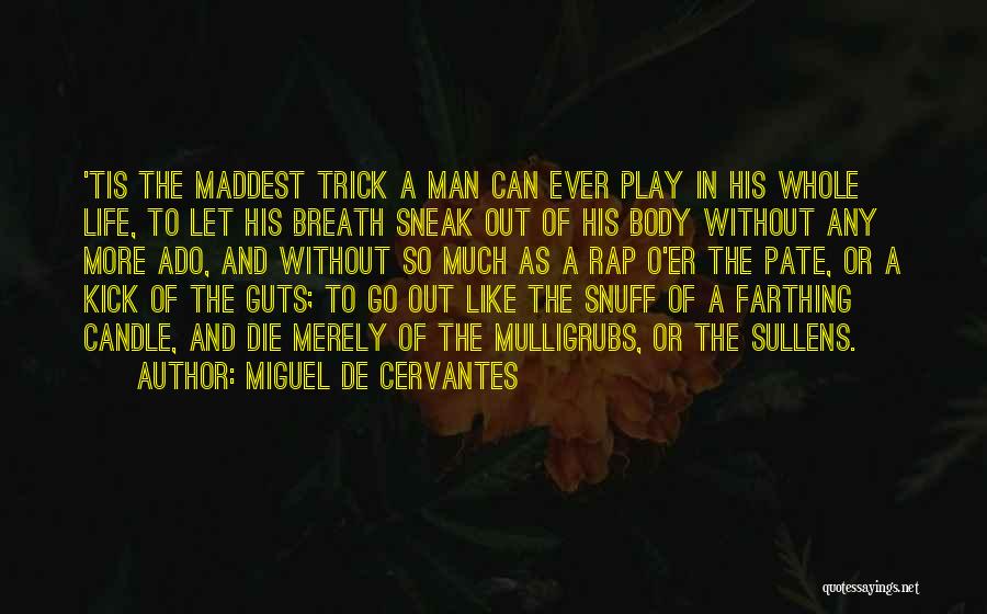 Snuff Quotes By Miguel De Cervantes