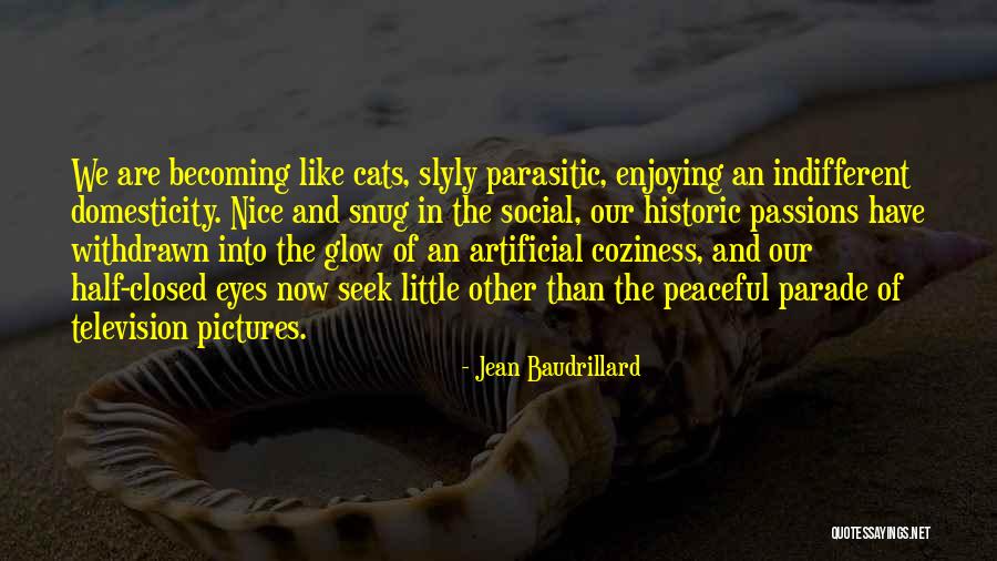 Snug Quotes By Jean Baudrillard Snug Quotes By Jean Baudrillard