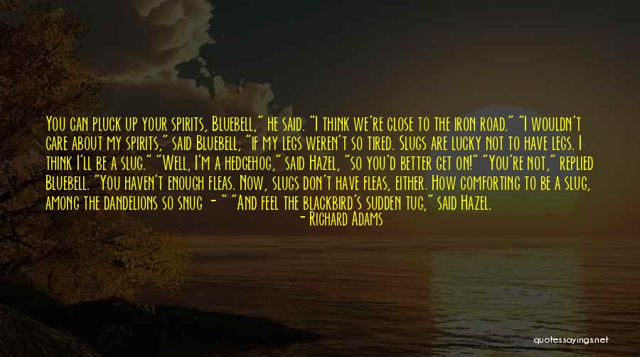 Snug Quotes By Richard Adams Snug Quotes By Richard Adams