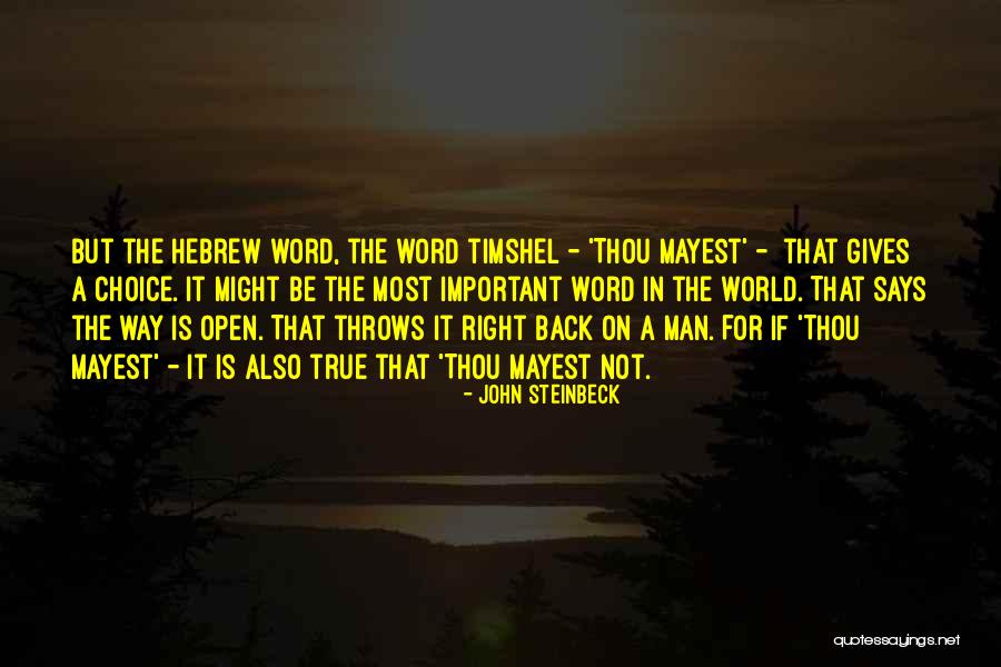 Snyakutz Quotes By John Steinbeck Snyakutz Quotes By John Steinbeck