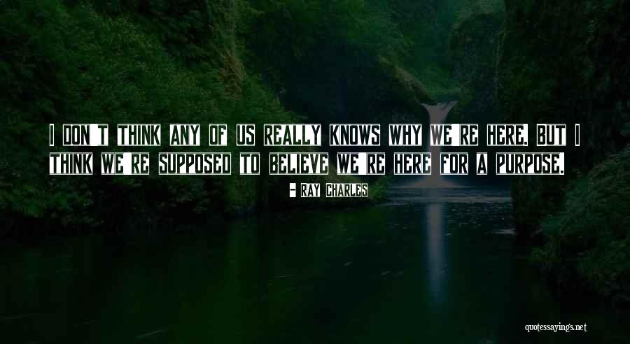 Snyman Furniture Quotes By Ray Charles Snyman Furniture Quotes By Ray Charles
