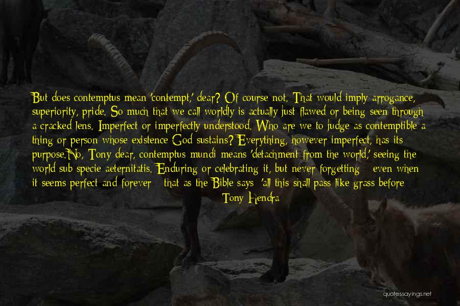 So Are We Celebrating Quotes By Tony Hendra So Are We Celebrating Quotes By Tony Hendra