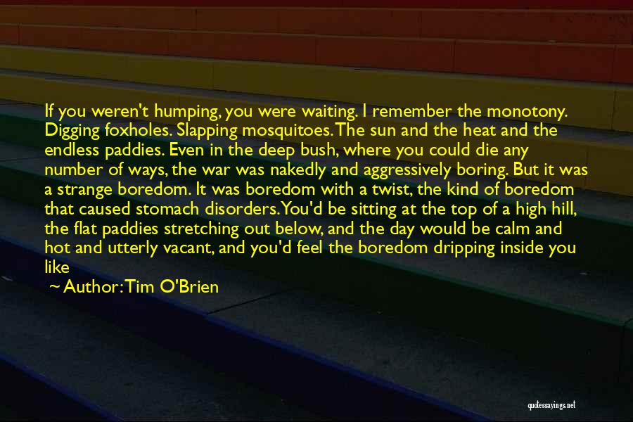 So Boring Day Quotes By Tim O'Brien