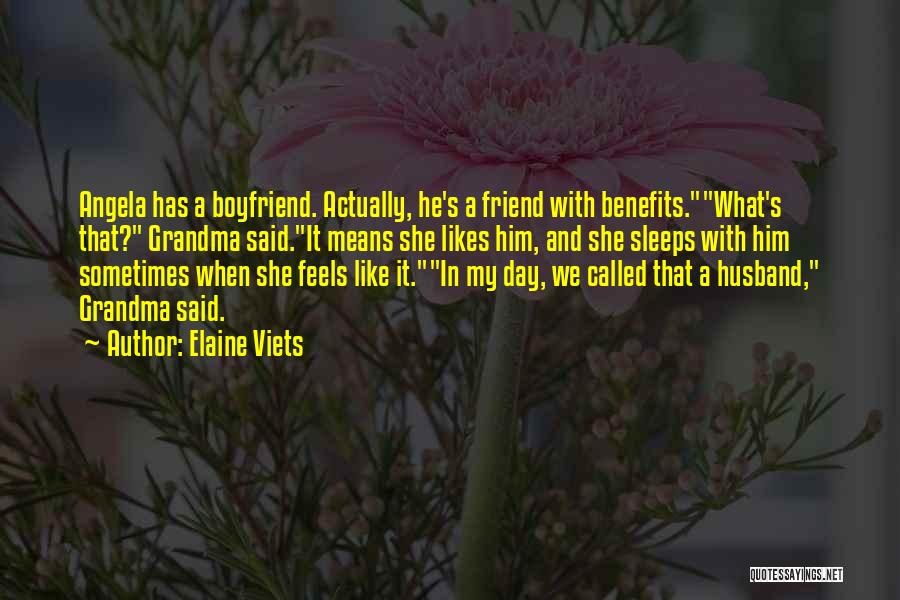 So Called Boyfriend Quotes By Elaine Viets