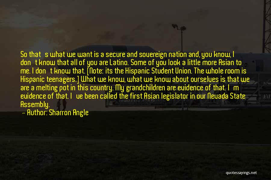 So Called Quotes By Sharron Angle