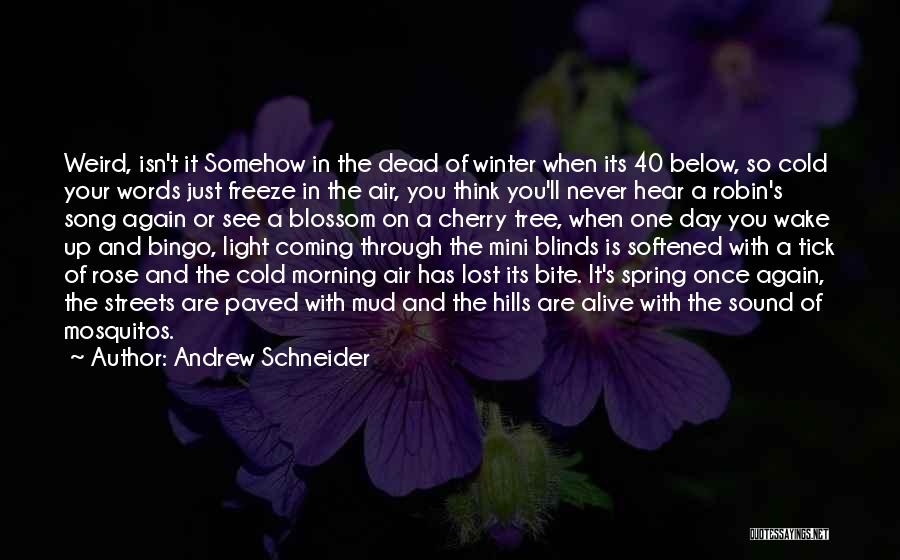 So Cold Winter Quotes By Andrew Schneider