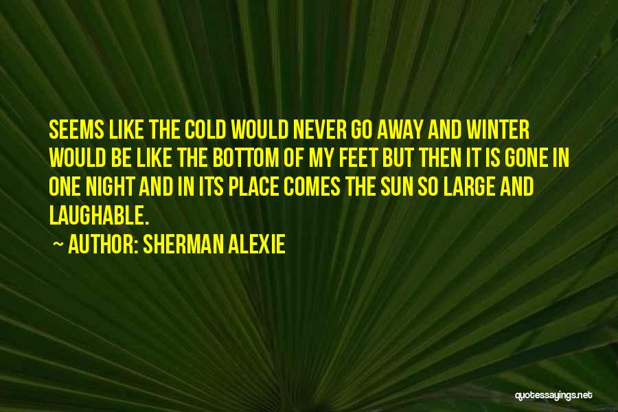 So Cold Winter Quotes By Sherman Alexie