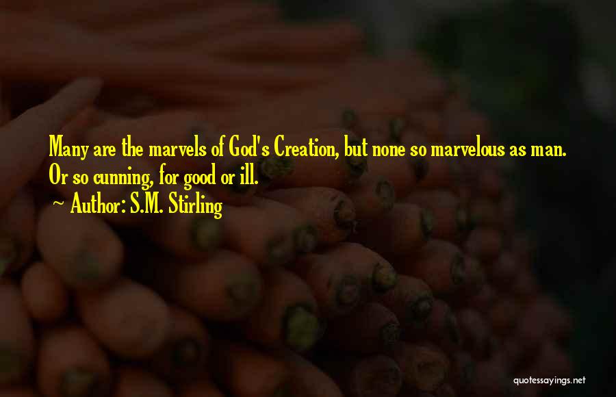 So Cunning Quotes By S.M. Stirling