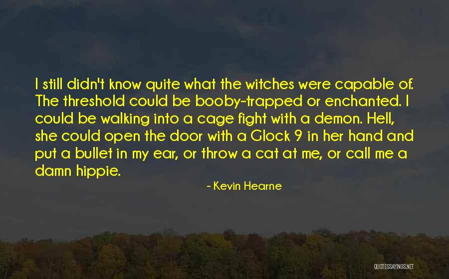 So Damn Funny Quotes By Kevin Hearne