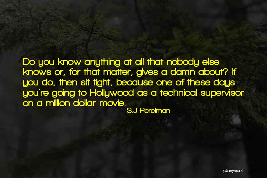 So Damn Funny Quotes By S.J Perelman