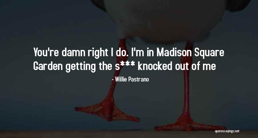 So Damn Funny Quotes By Willie Pastrano