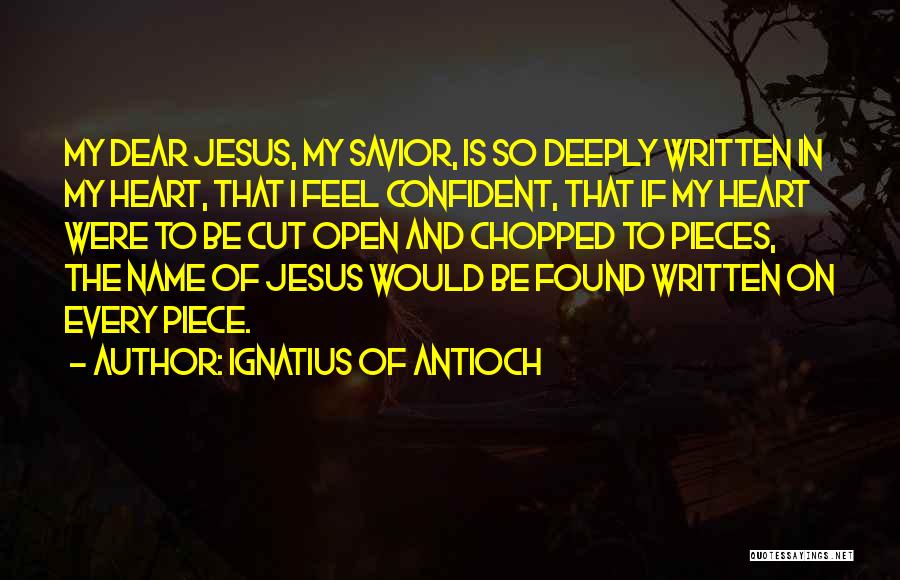 So Dear To My Heart Quotes By Ignatius Of Antioch