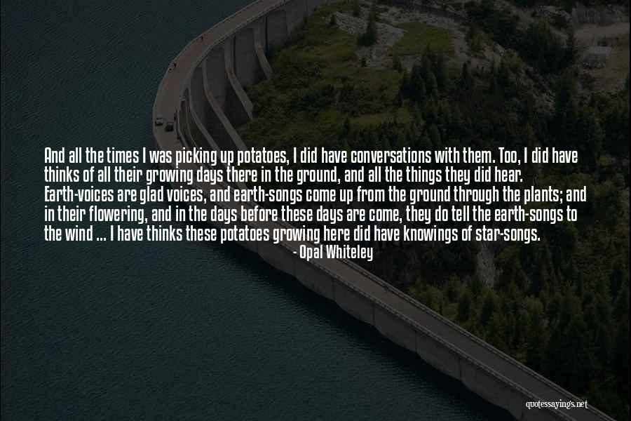 So Glad You Are Here Quotes By Opal Whiteley So Glad You Are Here Quotes By Opal Whiteley