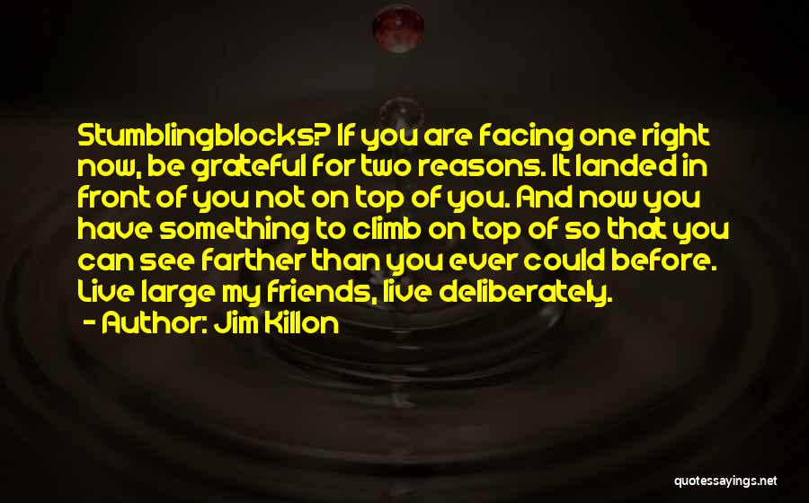 So Grateful To Have You Quotes By Jim Killon