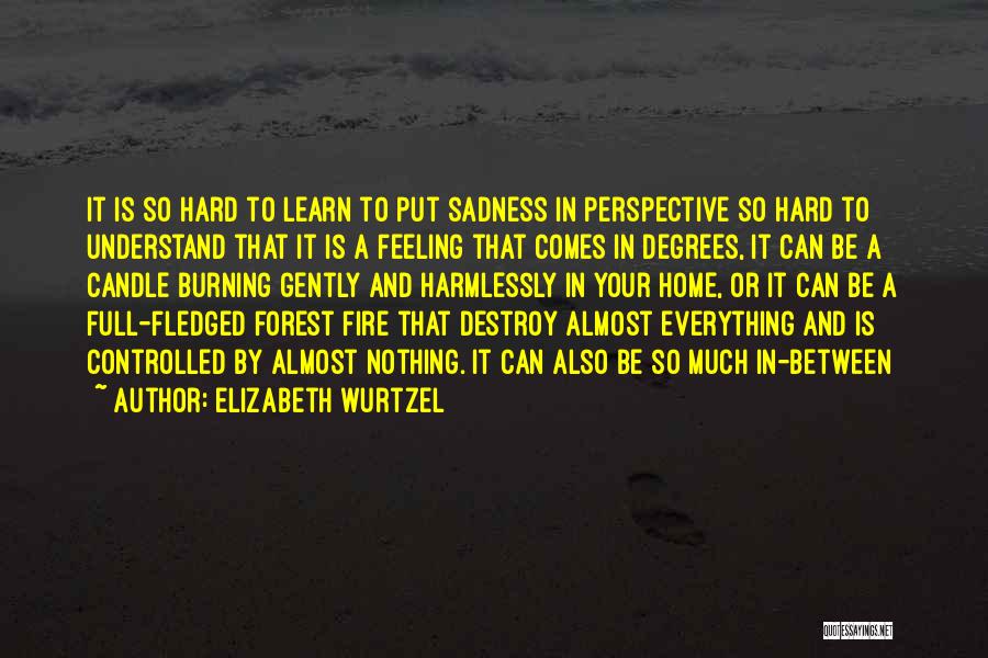 So Hard To Understand Quotes By Elizabeth Wurtzel
