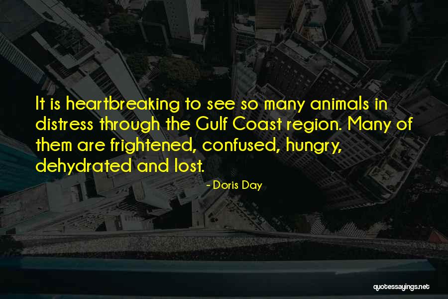 So Hungry Quotes By Doris Day So Hungry Quotes By Doris Day
