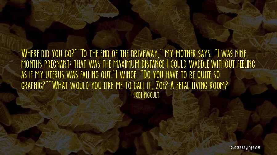 So I Like You Quotes By Jodi Picoult So I Like You Quotes By Jodi Picoult
