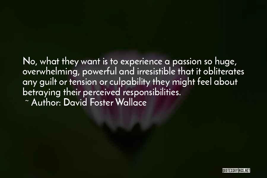 So Irresistible Quotes By David Foster Wallace