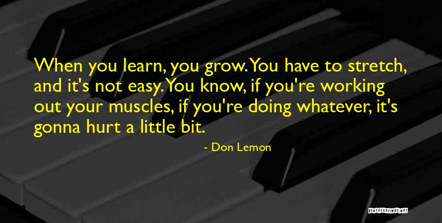 So It's Not Gonna Be Easy Quotes By Don Lemon So It's Not Gonna Be Easy Quotes By Don Lemon