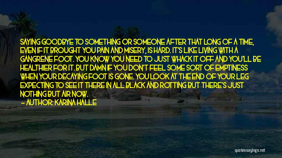 So Long Goodbye Quotes By Karina Halle