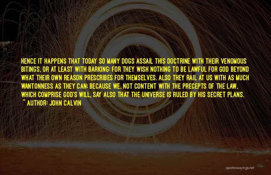 So Many Plans Quotes By John Calvin