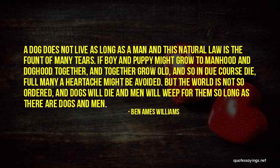 So Many Tears Quotes By Ben Ames Williams So Many Tears Quotes By Ben Ames Williams