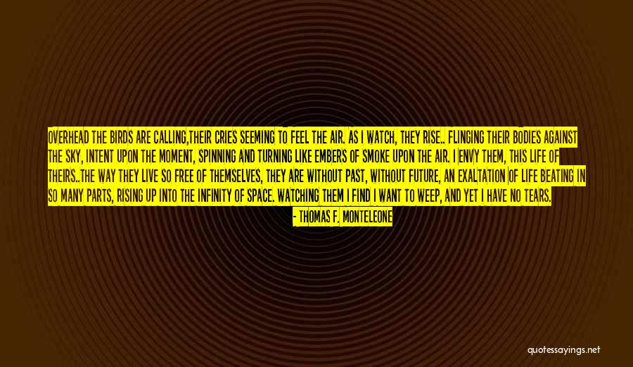 So Many Tears Quotes By Thomas F. Monteleone So Many Tears Quotes By Thomas F. Monteleone