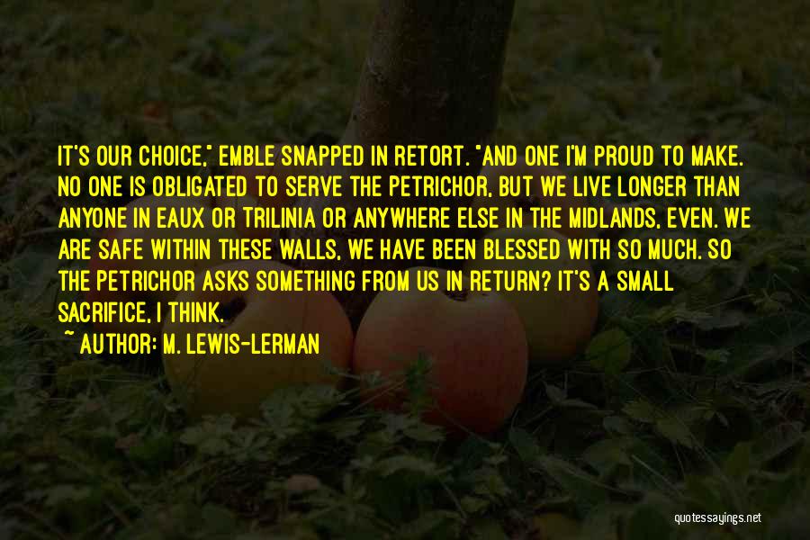 So Much Blessed Quotes By M. Lewis-Lerman