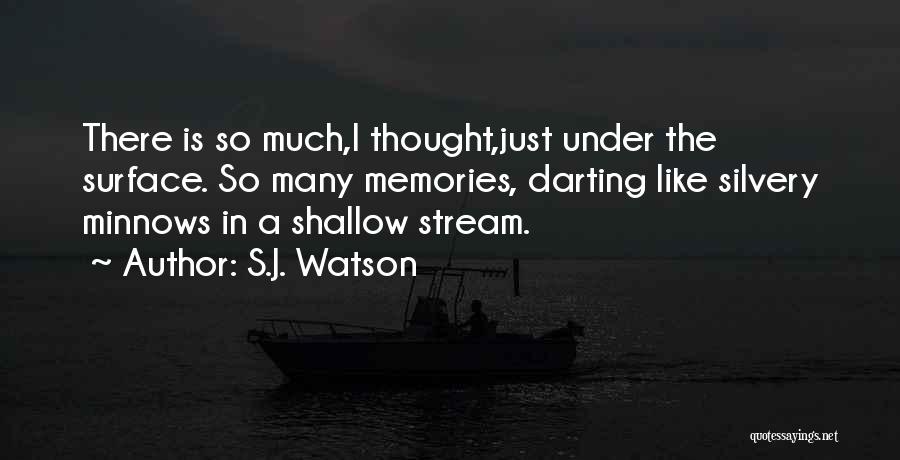 So Much Memories Quotes By S.J. Watson