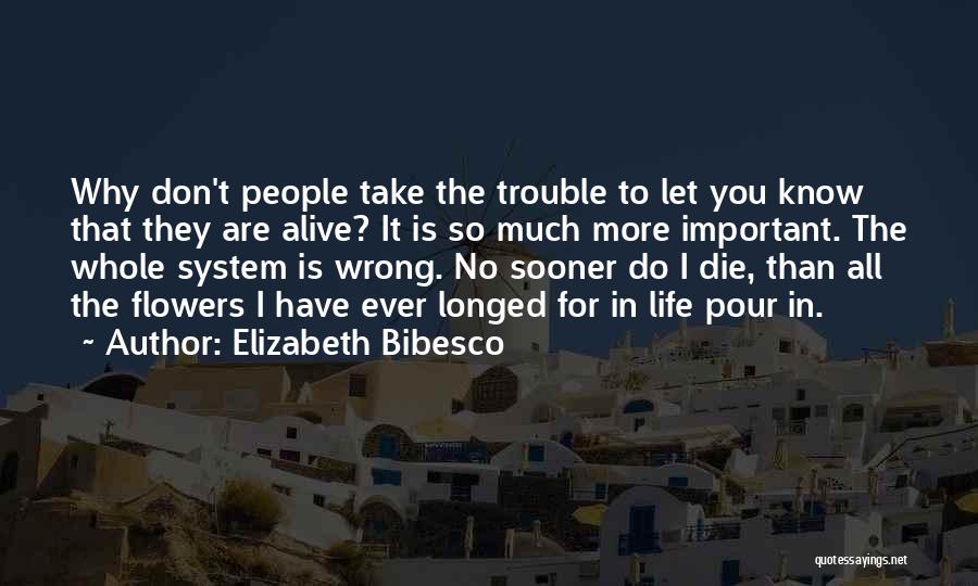 So Much More To Life Quotes By Elizabeth Bibesco