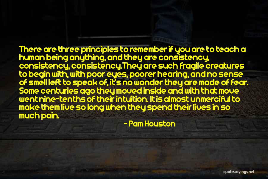 So Much Pain Inside Quotes By Pam Houston So Much Pain Inside Quotes By Pam Houston