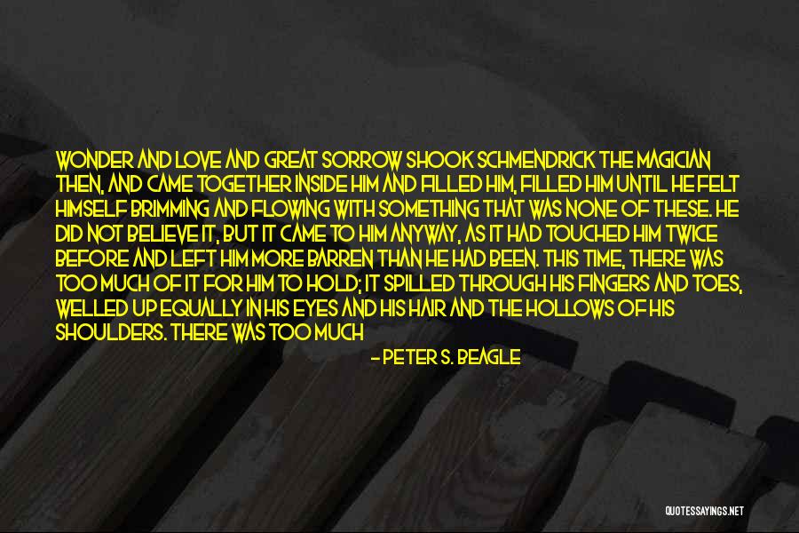 So Much Pain Inside Quotes By Peter S. Beagle So Much Pain Inside Quotes By Peter S. Beagle
