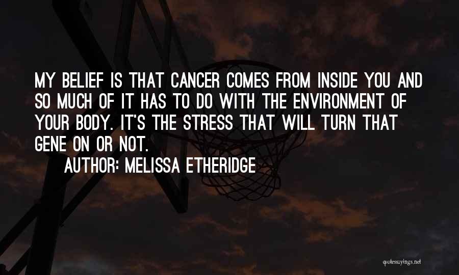 So Much Stress Quotes By Melissa Etheridge