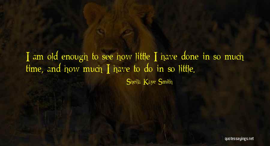 So Much To Do So Little Time Quotes By Sheila Kaye-Smith So Much To Do So Little Time Quotes By Sheila Kaye-Smith